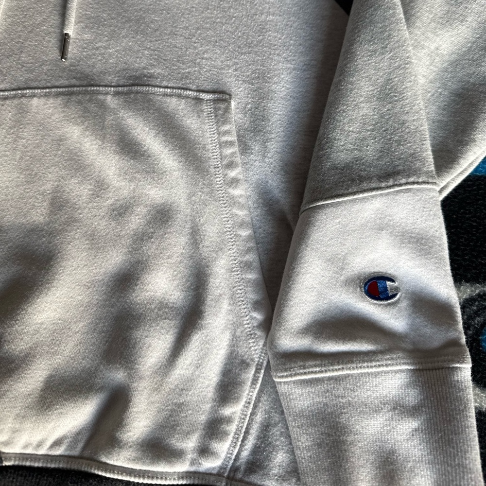 Champion Colorblock Men’s Hoodie - Picture 4 of 8